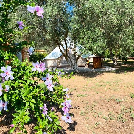 Eco Glamping With Pool Between Nafplio And Argos Exterior foto